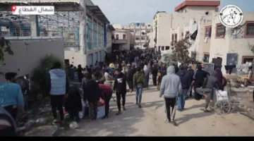 مساعدات إماراتية.. توزيع طرود غذائية تدعم 4 آلاف أسرة فلسطينية بمناطق متفرقة